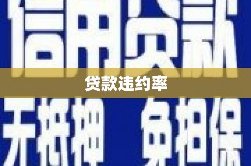 汉源贷款违约率