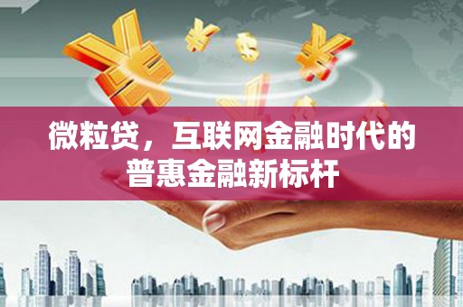 汉源微粒贷，互联网金融时代的普惠金融新标杆