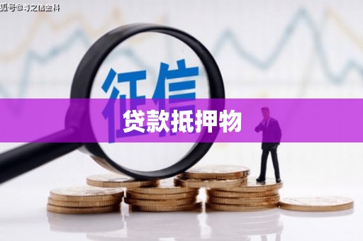 汉源贷款抵押物