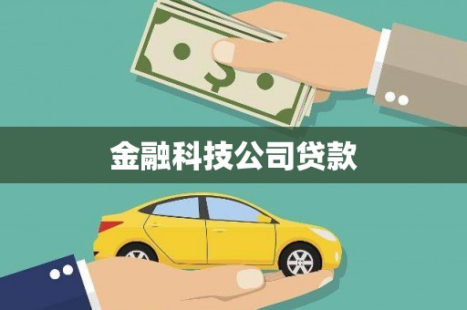 汉源金融科技公司贷款