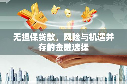 汉源无担保贷款，风险与机遇并存的金融选择