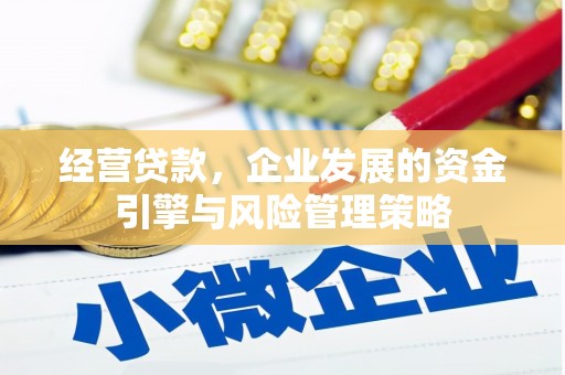 汉源经营贷款，企业发展的资金引擎与风险管理策略