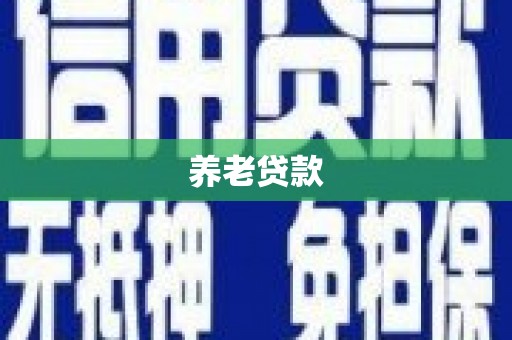 汉源养老贷款