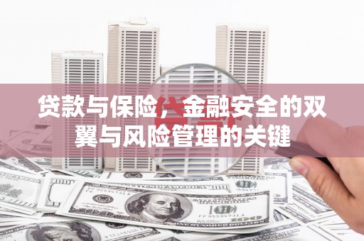 汉源贷款与保险，金融安全的双翼与风险管理的关键