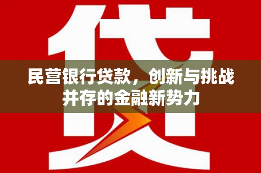 汉源民营银行贷款，创新与挑战并存的金融新势力