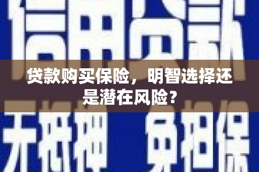 汉源贷款购买保险，明智选择还是潜在风险？
