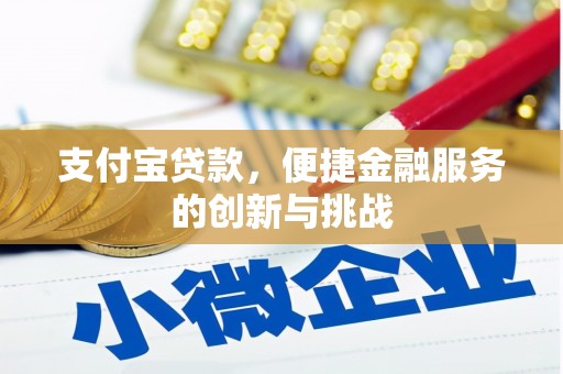 汉源支付宝贷款，便捷金融服务的创新与挑战