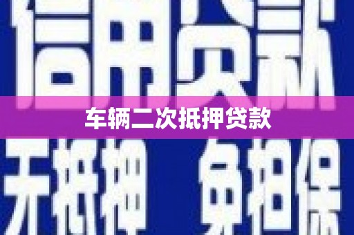汉源车辆二次抵押贷款