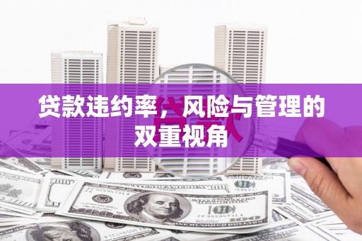 汉源贷款违约率，风险与管理的双重视角