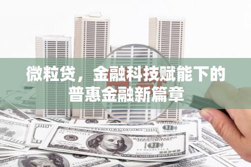 汉源微粒贷，金融科技赋能下的普惠金融新篇章