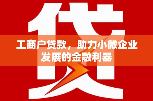 汉源工商户贷款,助力小微企业发展的金融利器 汉源工商户贷款,助力小微企业发展的金融利器