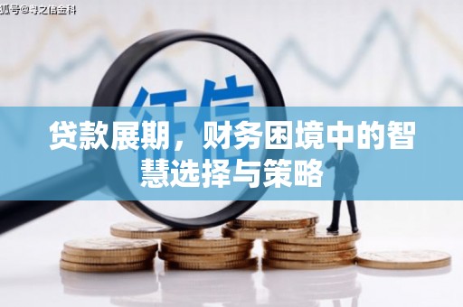 汉源贷款展期，财务困境中的智慧选择与策略