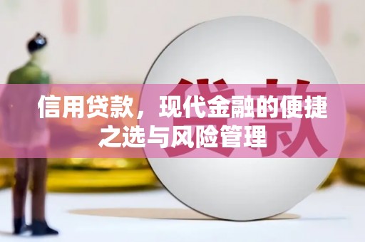 汉源信用贷款，现代金融的便捷之选与风险管理