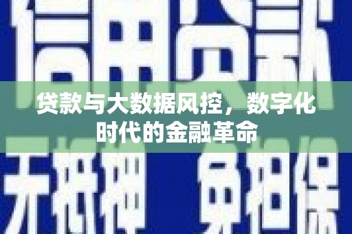 汉源贷款与大数据风控，数字化时代的金融革命