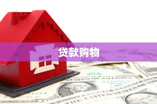 汉源贷款购物