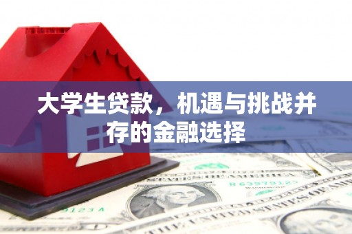 汉源大学生贷款，机遇与挑战并存的金融选择