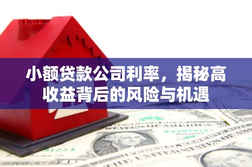 汉源小额贷款公司利率，揭秘高收益背后的风险与机遇