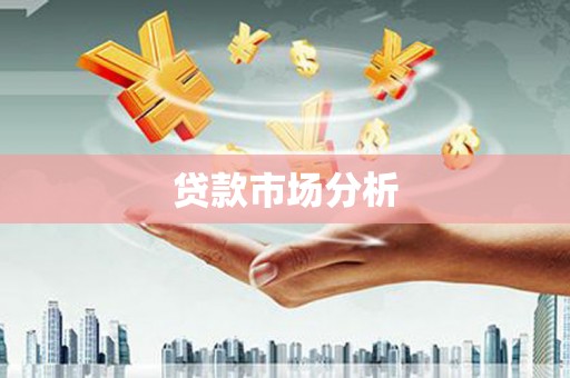 汉源贷款市场分析