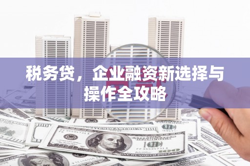 汉源税务贷，企业融资新选择与操作全攻略