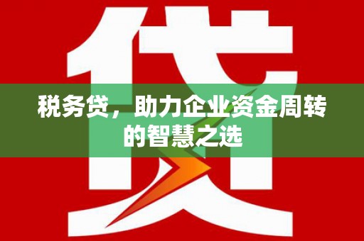 汉源税务贷，助力企业资金周转的智慧之选