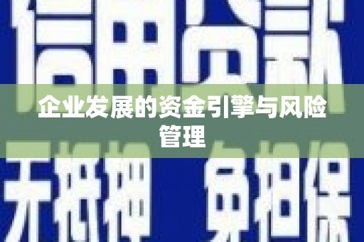 汉源企业发展的资金引擎与风险管理