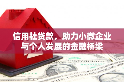 汉源信用社贷款，助力小微企业与个人发展的金融桥梁