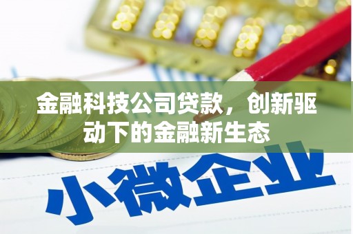 汉源金融科技公司贷款，创新驱动下的金融新生态
