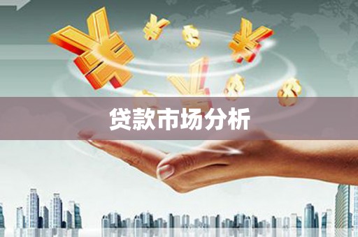 汉源贷款市场分析