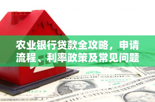 汉源农业银行贷款全攻略，申请流程、利率政策及常见问题解析