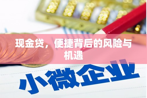 汉源现金贷，便捷背后的风险与机遇