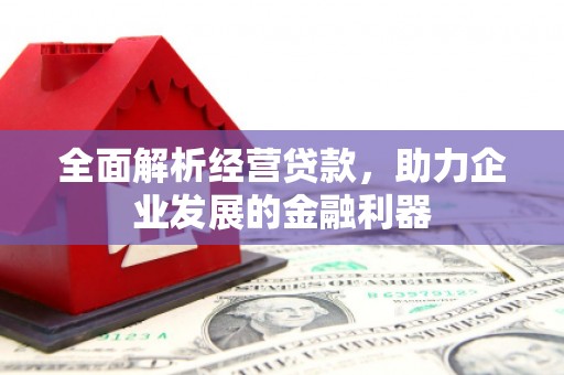 汉源全面解析经营贷款，助力企业发展的金融利器