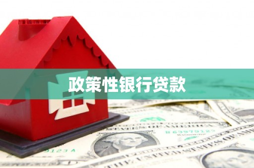 汉源政策性银行贷款
