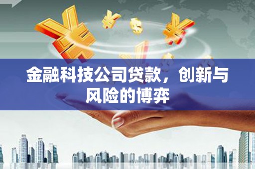 汉源金融科技公司贷款，创新与风险的博弈
