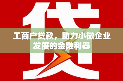 汉源工商户贷款，助力小微企业发展的金融利器