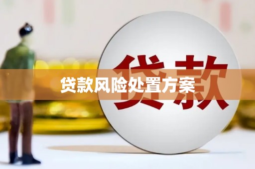 汉源贷款风险处置方案
