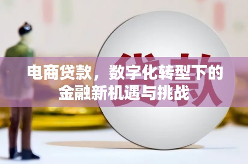 汉源电商贷款，数字化转型下的金融新机遇与挑战