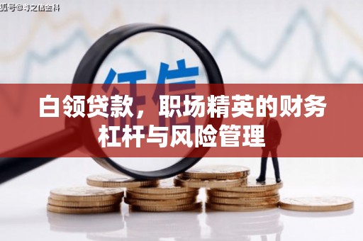 汉源白领贷款，职场精英的财务杠杆与风险管理