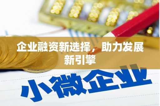 汉源企业融资新选择，助力发展新引擎