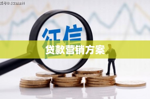 汉源贷款营销方案