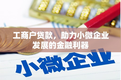汉源工商户贷款，助力小微企业发展的金融利器
