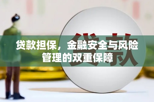 汉源贷款担保，金融安全与风险管理的双重保障