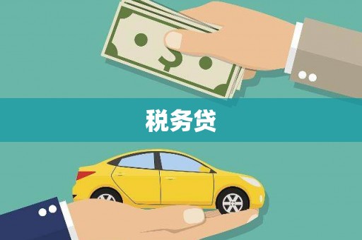 汉源税务贷