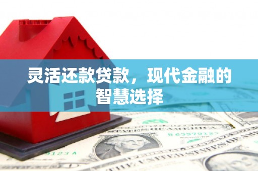 汉源灵活还款贷款，现代金融的智慧选择
