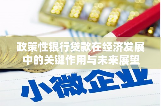 汉源政策性银行贷款在经济发展中的关键作用与未来展望
