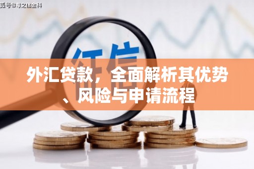 汉源外汇贷款，全面解析其优势、风险与申请流程