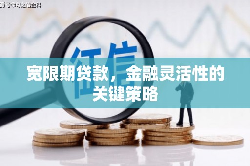 汉源宽限期贷款，金融灵活性的关键策略