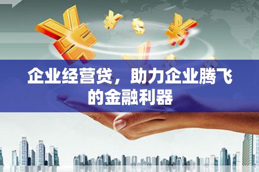 汉源企业经营贷，助力企业腾飞的金融利器