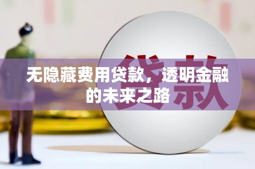 汉源无隐藏费用贷款，透明金融的未来之路