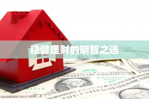 汉源稳健理财的明智之选