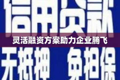 汉源灵活融资方案助力企业腾飞